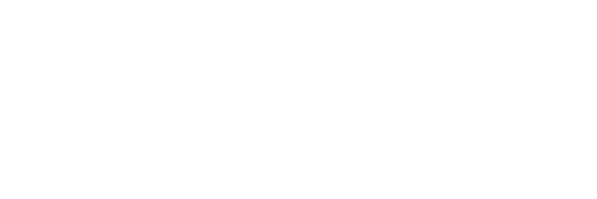 Lenovo-w