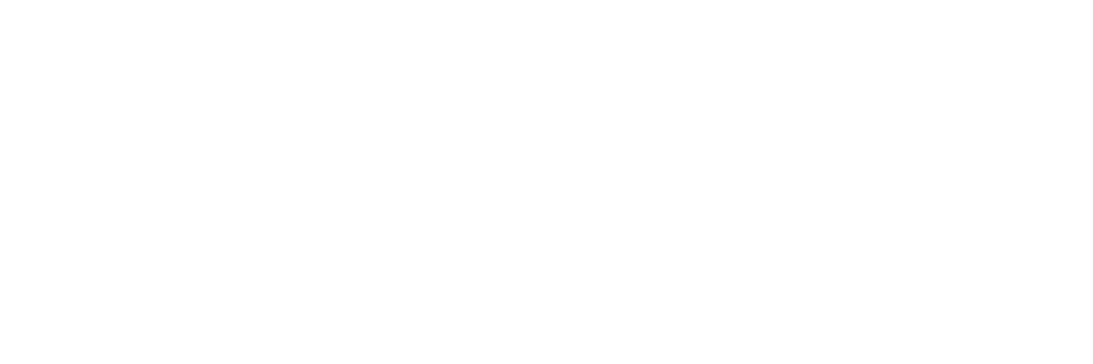 NetApp-w